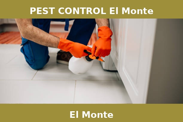 PEST CONTROL El Monte